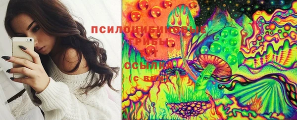 spice Баксан