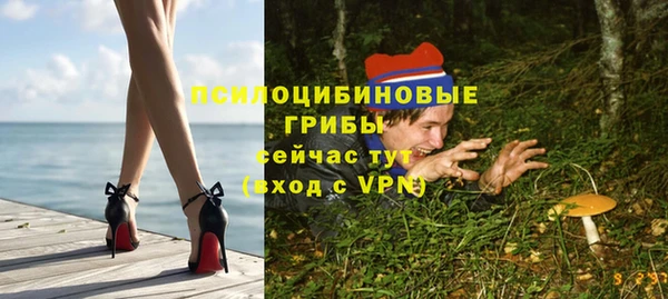 spice Баксан