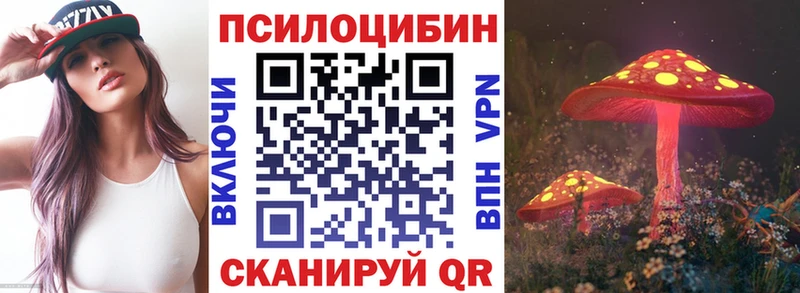 закладки Ленск Галлюциногенные грибы прущие грибы